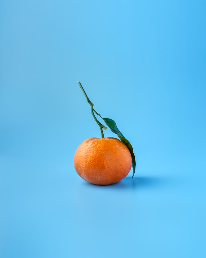 Oranges fraîches
