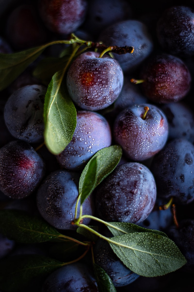 Prunes fraîches