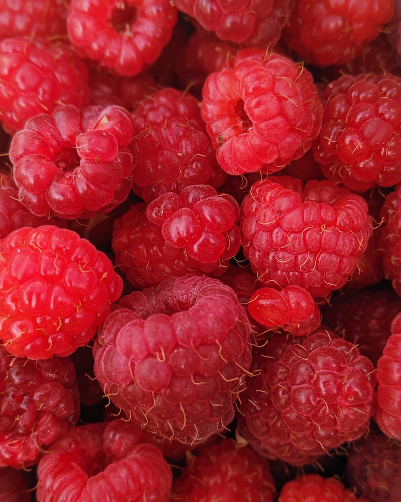 Framboises fraîches