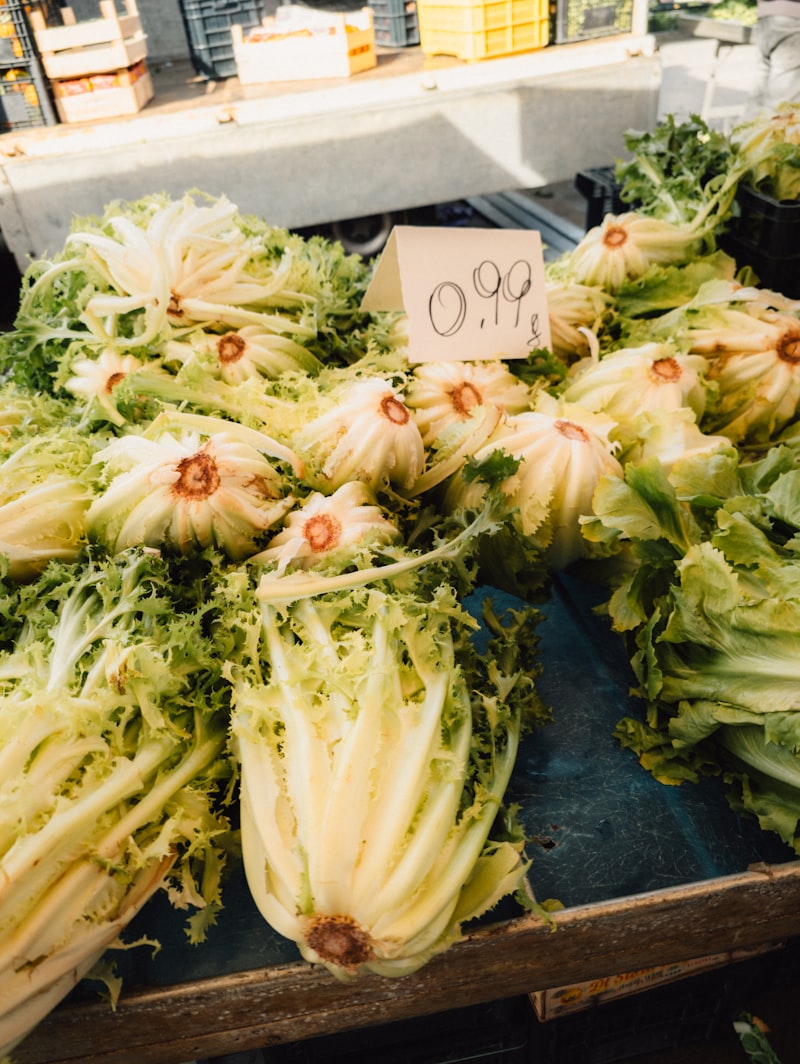 Endives fraîches