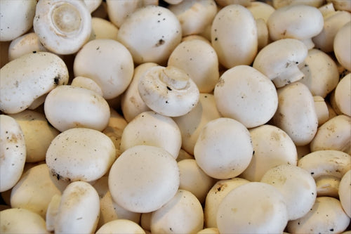 Champignons de Paris