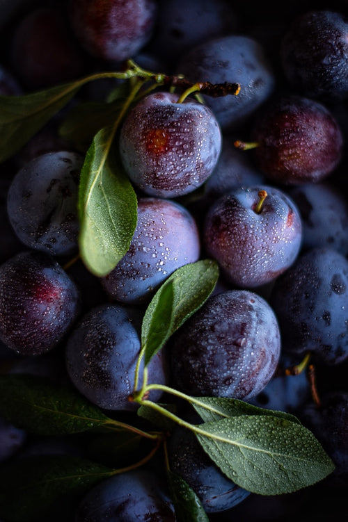 Prunes fraîches