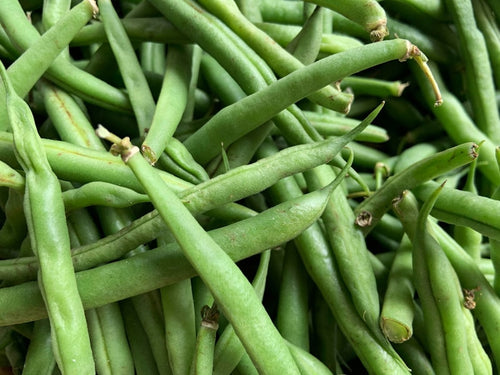Haricots verts frais