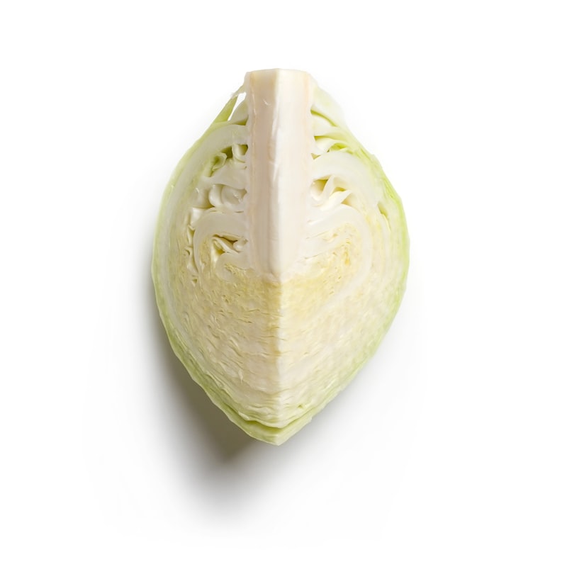 Chou blanc frais