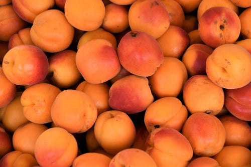 Abricots frais