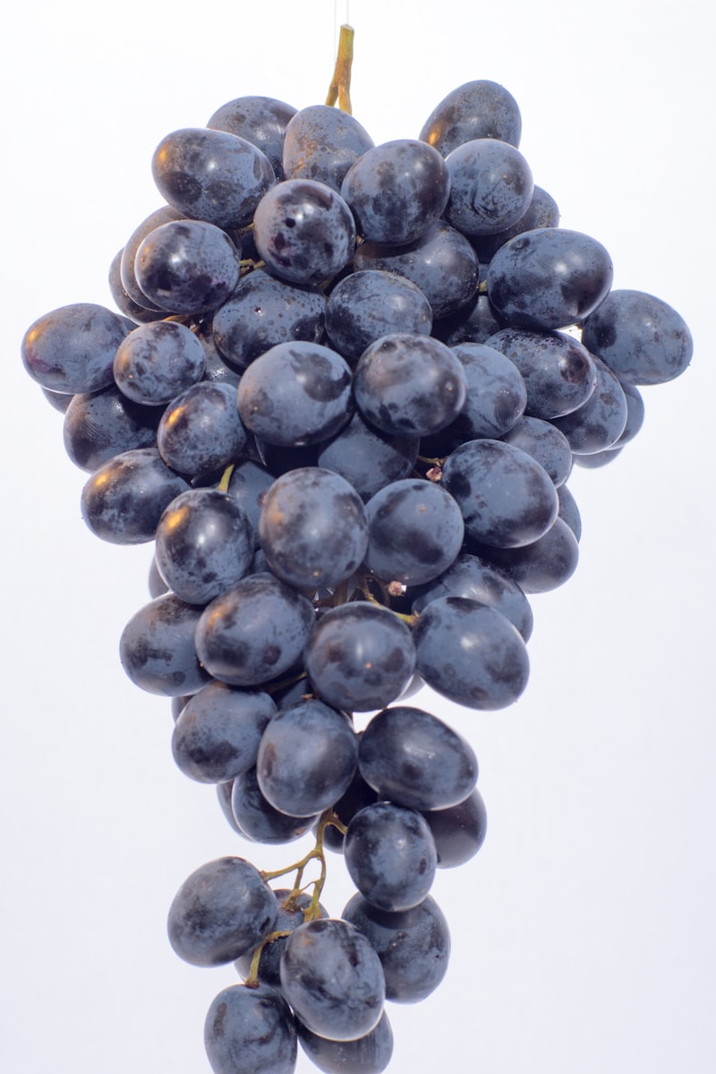 Raisin frais