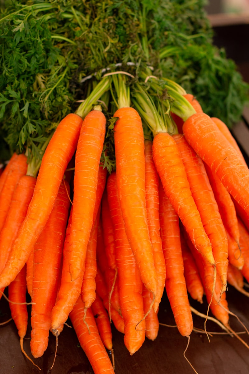Carottes fraîches
