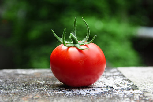 Tomates fraîches
