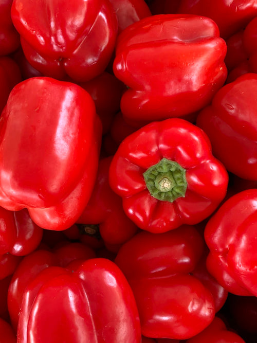 Poivrons colorés