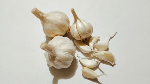 Ail frais