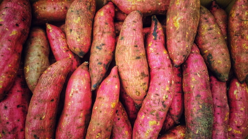 Patates douces